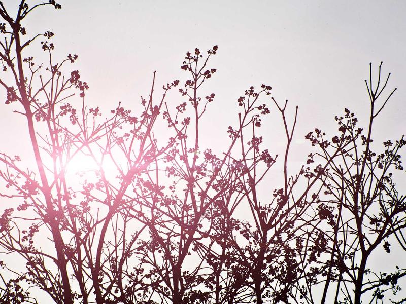 android screenshot 3